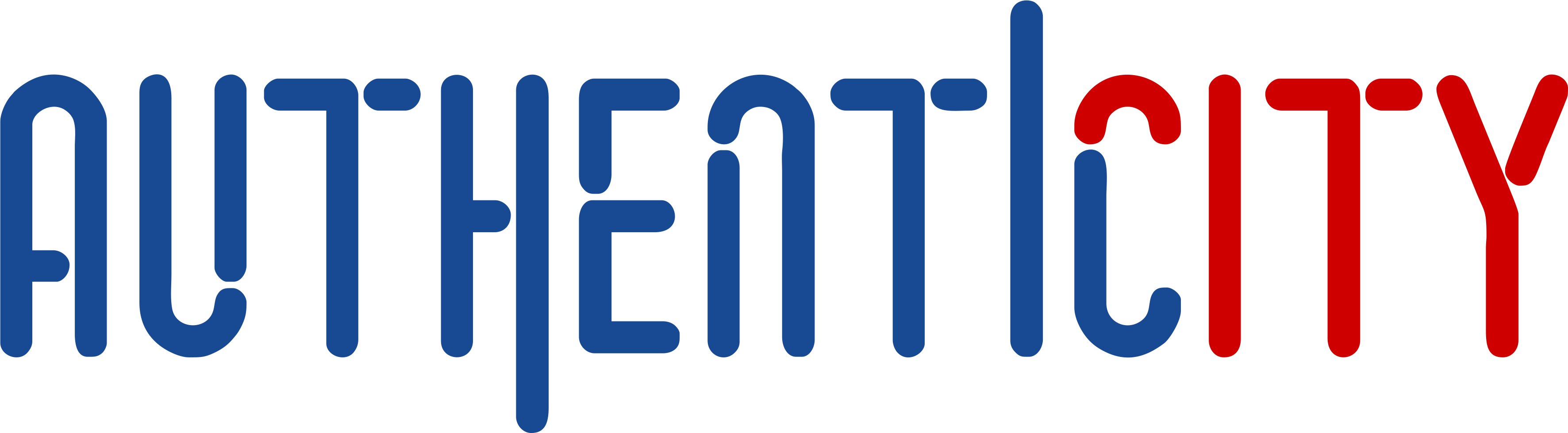 Category of MAIN SPONSOR